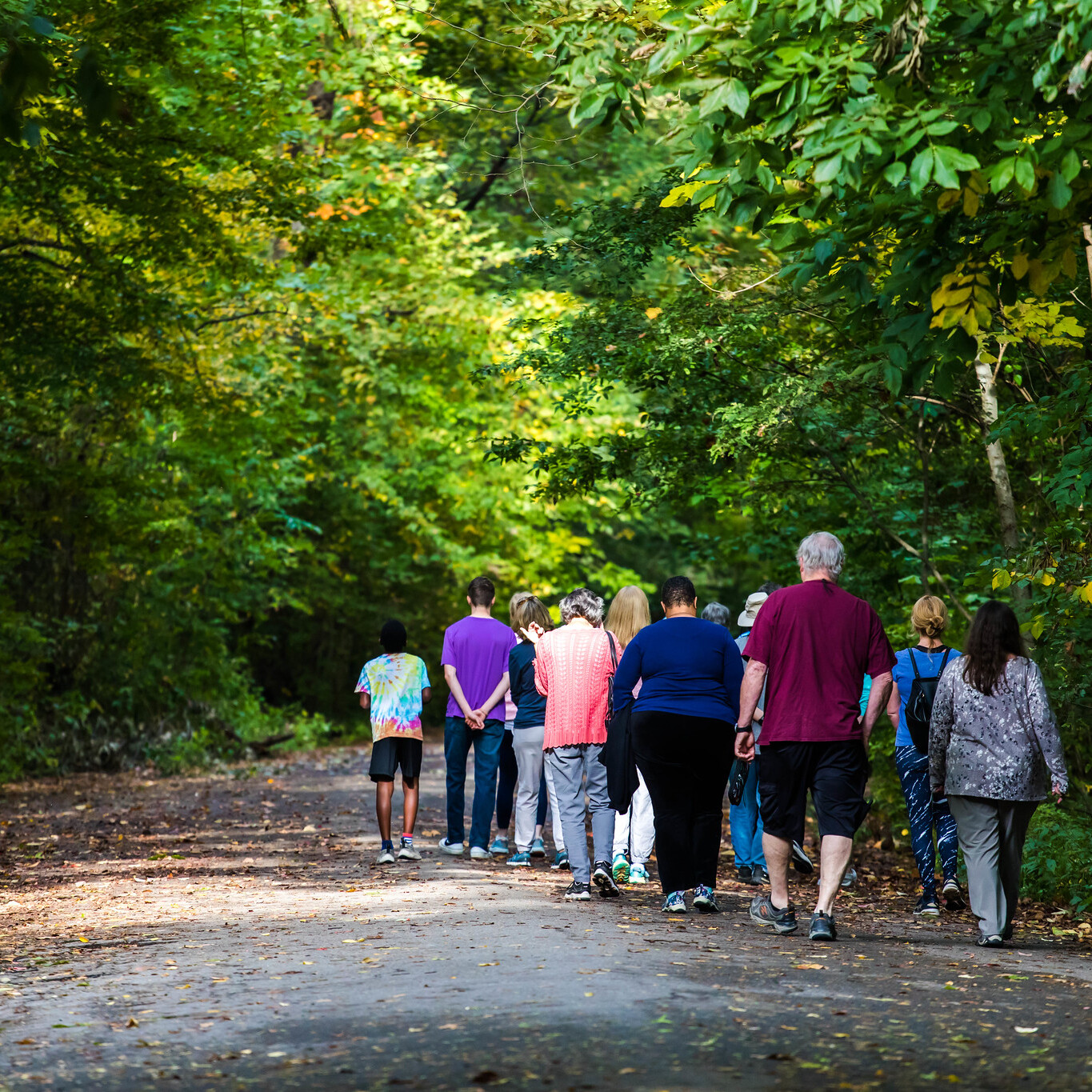Seated Mindfulness Experience - logo